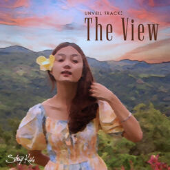 the view: skz fan cover